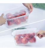 Freezer Safe Food Storage Boxes, Transparent