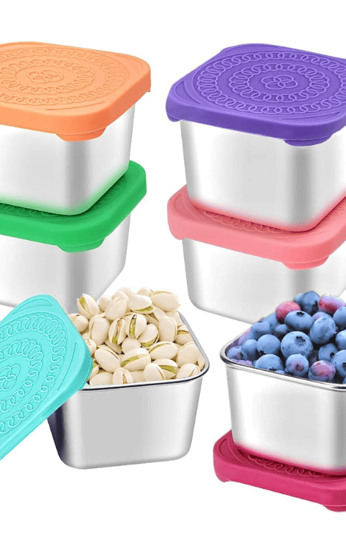 Stainless Steel Snack Containers for Kids