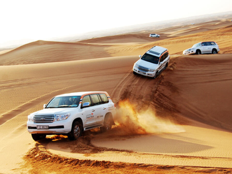 Desert Safari