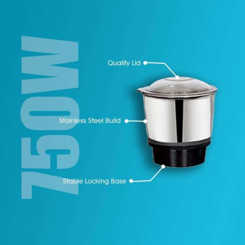 EASY COOK Beauty Plus 750W Mixer Grinder 3 Stainless Steel Jars (1.75L, 750ml, 250g) 3-Speed with Incher Stainless Steel Blades